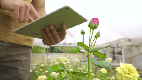 Florist-working-with-tablet-in-flower-shop.